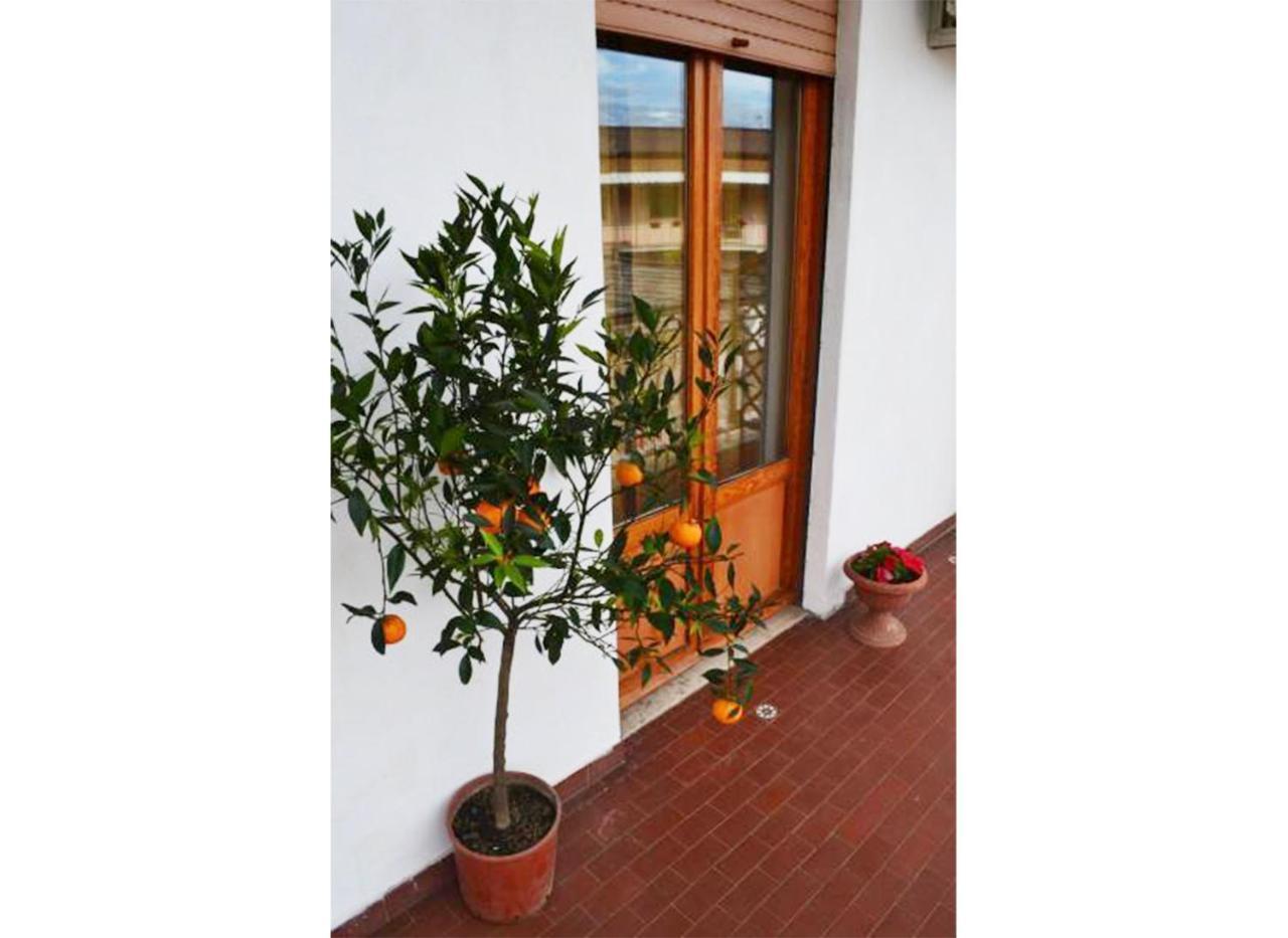 Casa Celeste Rom Exterior foto